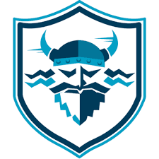 Viking Air Services, LLC logo